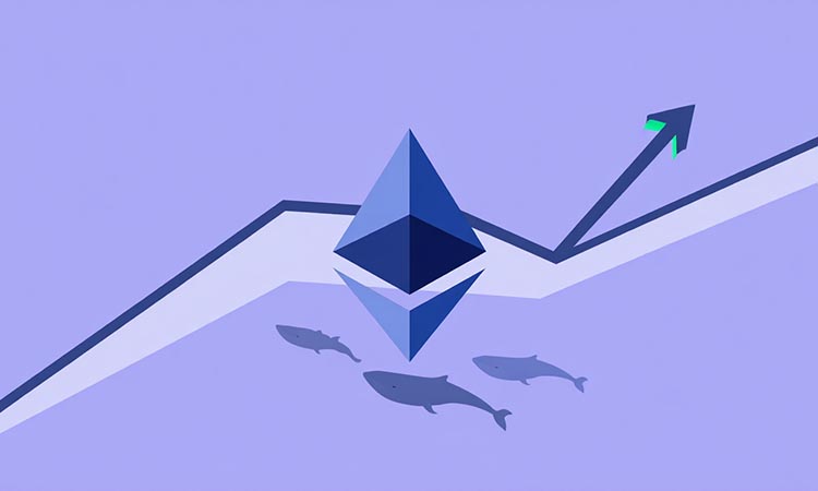 Ethereum Prepares for a Surge