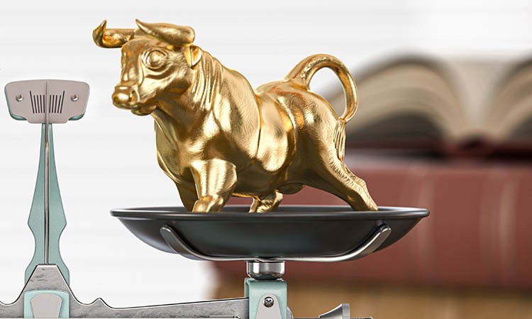 XRP Shows Bullish Momentum