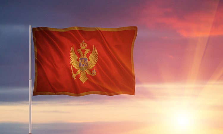 Prime Minister of Montenegro Involved in Terra Scandal
