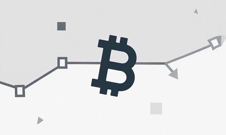 Bitcoin at a Critical Threshold