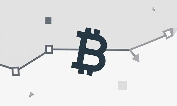 Bitcoin at a Critical Threshold