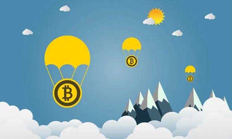 Bitcoin Solidifies at the Top