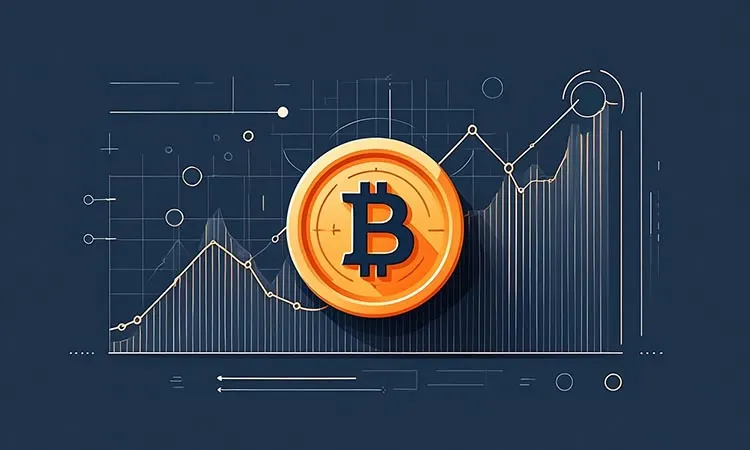 Vulnerable Bitcoin Rally