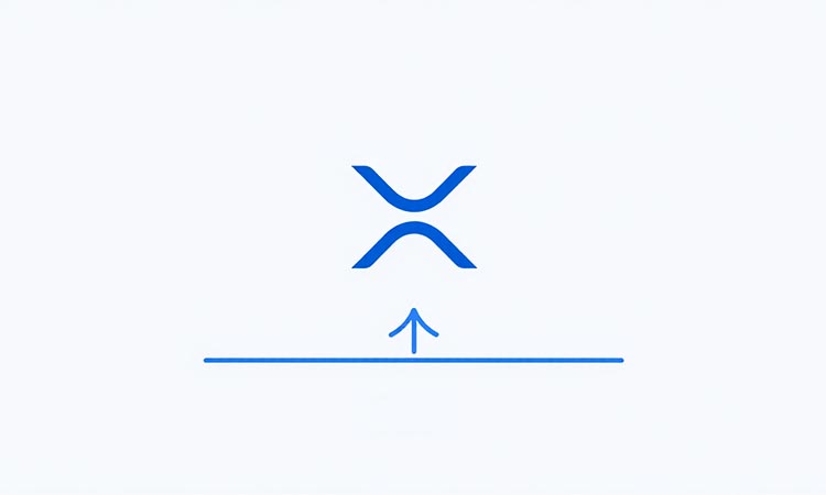 XRP Rebounds from Support