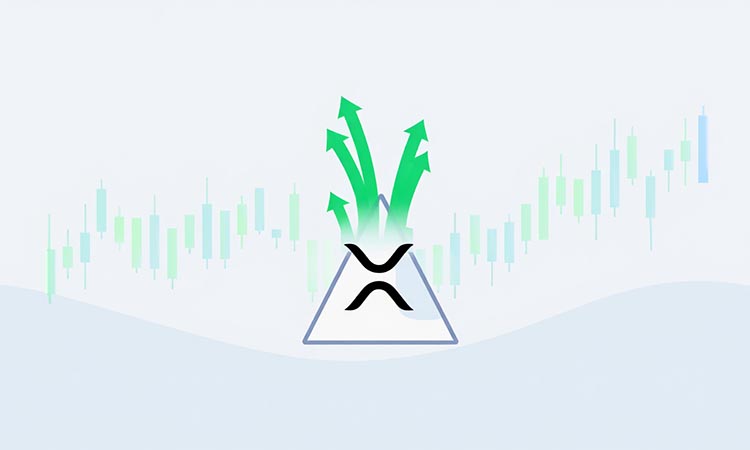 XRP Prepares for Breakout