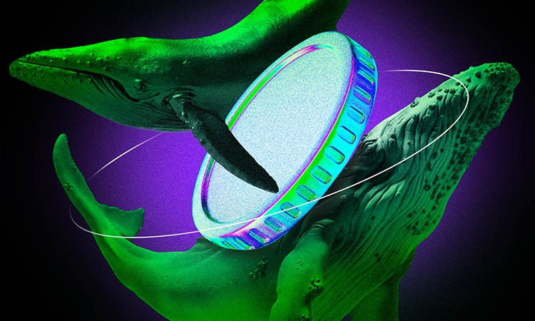 Cryptocurrency Whale Purchases in the First Week of July