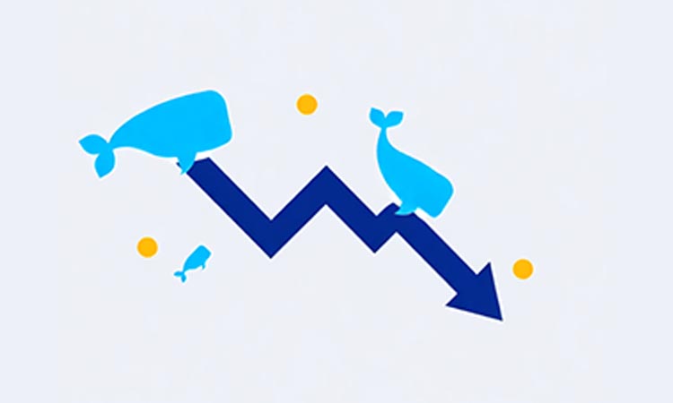 Market Searches for a Bottom