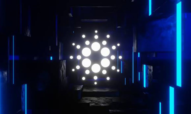 Cardano (ADA) Loses Ground in the Top-10 Cryptocurrency Rankings