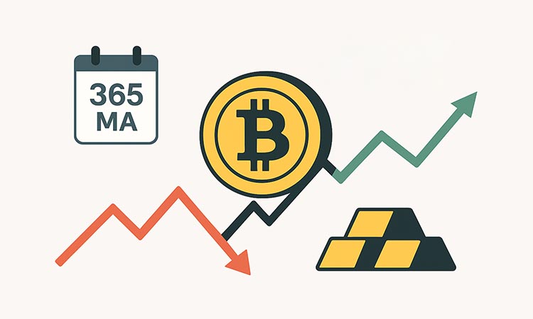 Bitcoin Between Recovery and Risks