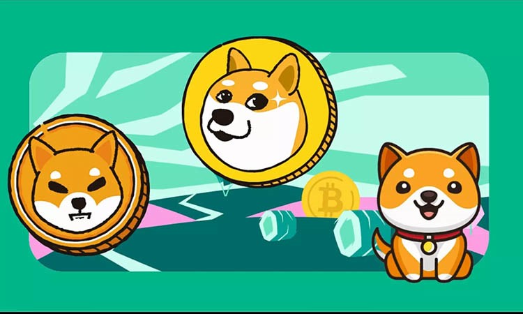 Altcoins: Market Analysis and Prospects