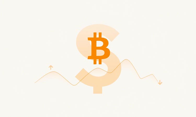 Bitcoin Amid Inflation