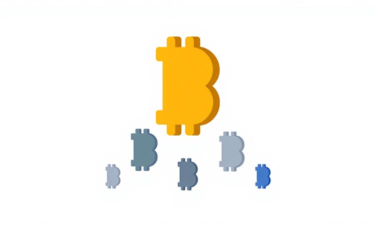 Bitcoin vs. Altcoins