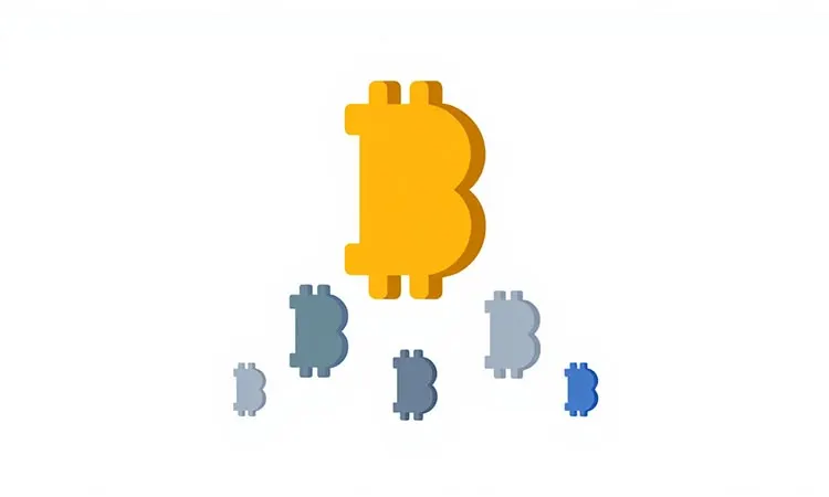 Bitcoin vs. Altcoins