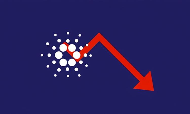 Cardano Loses Support