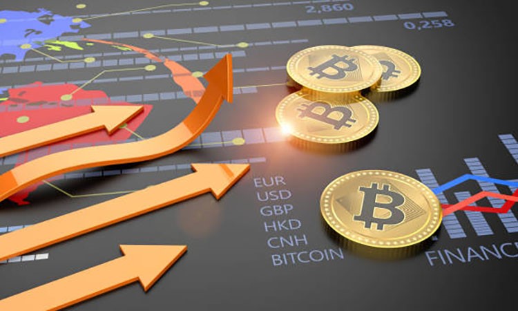 Cryptocurrencies Receive Support
