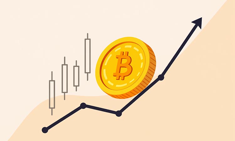 Bitcoin Recovers After Dip