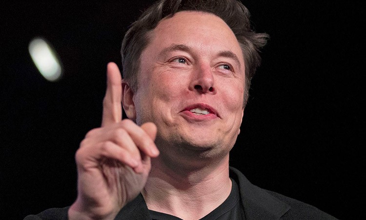 Elon Musk and the HARAMBE Memecoin: Big Purchase and Price Surge