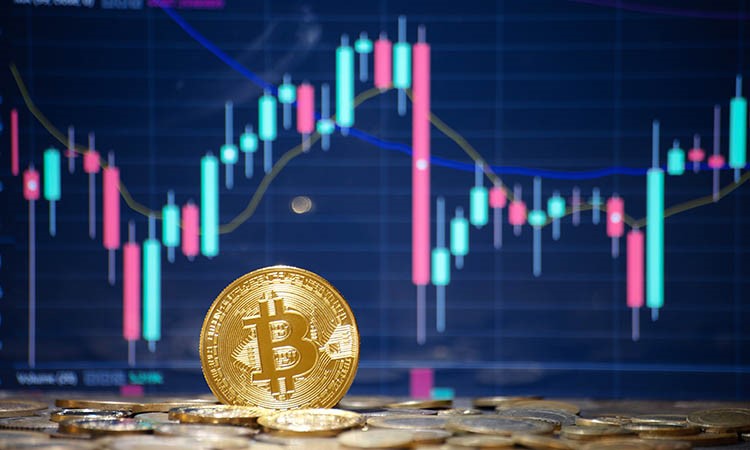 Bitcoin and Other Cryptocurrencies’ Price Growth