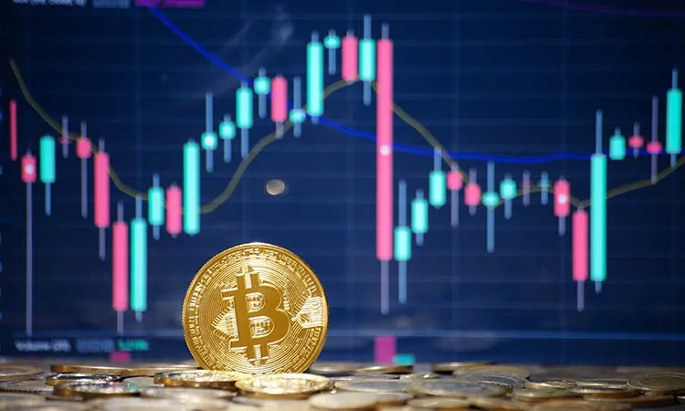 Bitcoin and Other Cryptocurrencies’ Price Growth