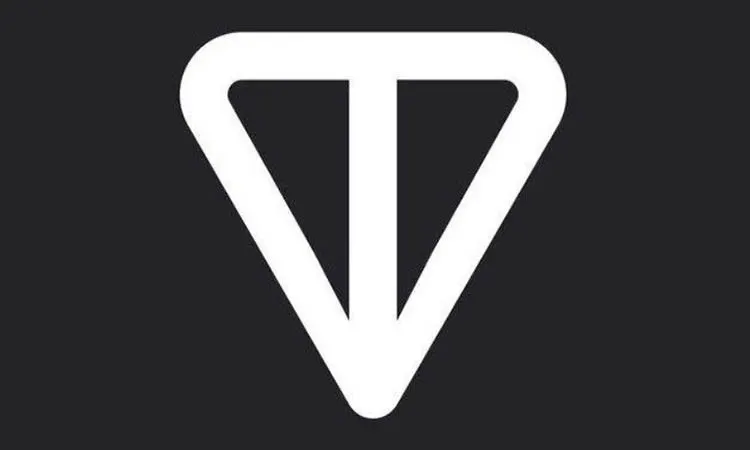 Notcoin: Referral System in Action